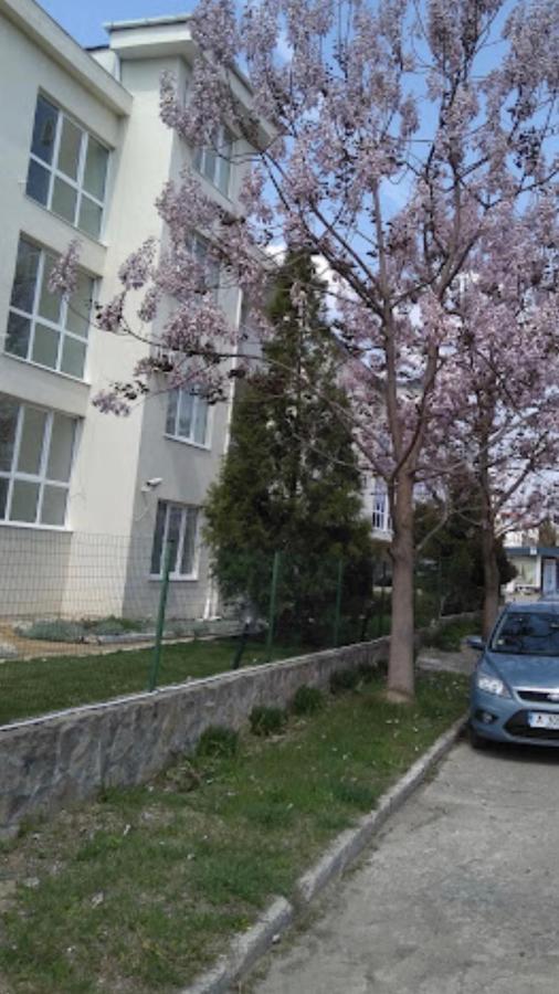 Rutland Sp Apartments 拉夫达 外观 照片